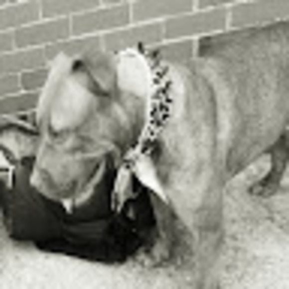 Meet your Posher, Natasha - Picture 1 of 1